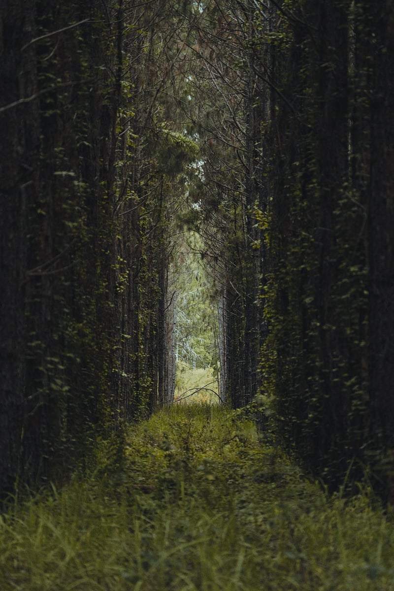 Secret Pathway