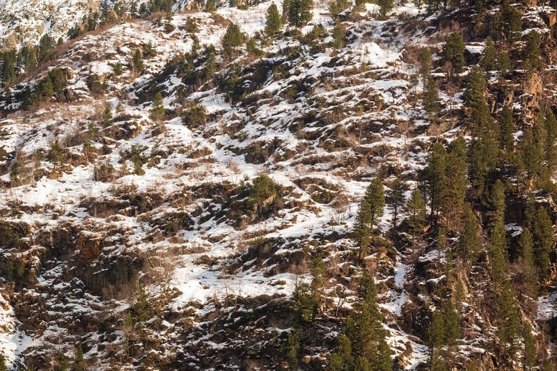 Sacred Mountain Sanctuary