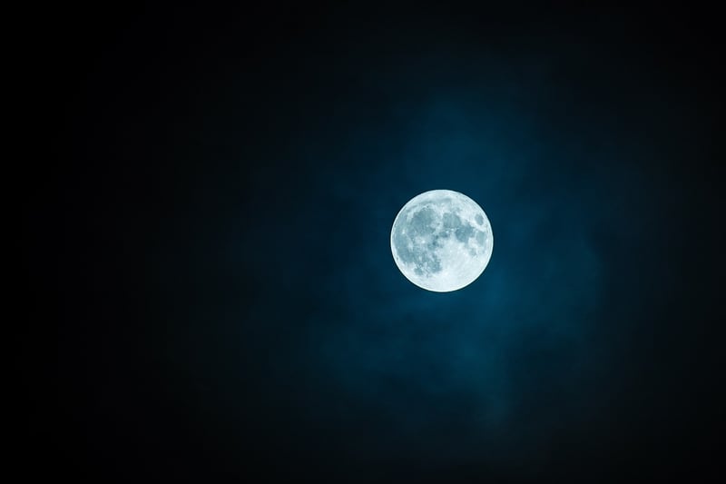 Moonlight Garden